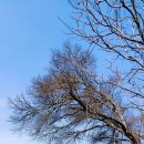 구항면 행정복지센터 이미지