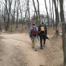 수락초교 이미지