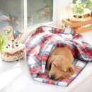 내방동물병원 이미지