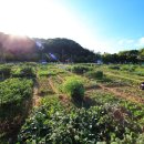 여가농장 이미지