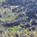 월령리 농어촌체험휴양마을 이미지