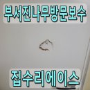 나무방문보수 주먹으로 문짝 파손