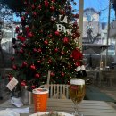 PET 66더3972 | 서울 강남 브런치 맛집 라브리크 서울 | 분위기 좋은 카페 후기