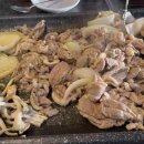 도토리짐(319) 이미지