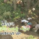 kbs 네트워크특선 보물섬&#34;흙을 살리고 씨앗을 나눈다&#34; 이미지