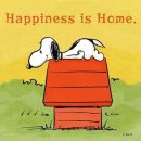 맘놓고우당탕탕 | 우당탕탕 이사 대소동 (다신안할래..)