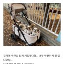 시츄언니 이미지