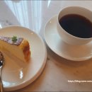 하이든파크 이미지