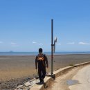 청춘풍차펜션 이미지