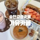 가유카페평택송탄점