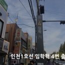 진스플라워 네이버블로그