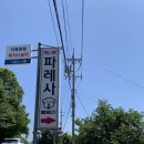 파레사애견풀빌라 | 남해 애견 동반 풀빌라 독채 강아지 수영장 펜션 파레사