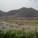 수몰이주기념관 Daum카페