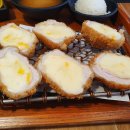 카츠 디나인(카츠 D9) 이미지