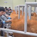 경상북도 축산기술연구소 이미지