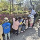 지니어스숲어린이집 이미지