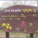 산수유축제장 이미지