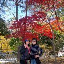 11월30일(일) 산상의 과메기 &amp; 머릿고기 파티 이미지