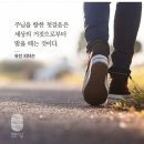 마태복음 26:6 – 26:16 헌신과 배신, 주님에 대한 상반된 태도 이미지