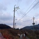 순양농장 이미지