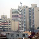 주식회사 대신부동산중개법인 이미지