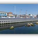 월내물양장 이미지