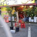 소라네파전다됐네 이미지