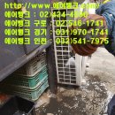 구이뱅크