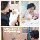 엄조산원 이미지