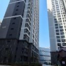 도화1동 행정복지센터 네이버블로그