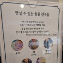 아쿠아파크 이미지
