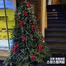 스윗스텝커피 | 포항 이동 대형카페 스윗스텝커피