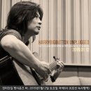 언플러그드펫