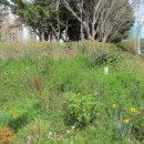 순천금당고등학교 이미지