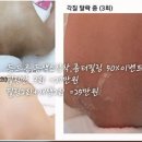 란에스떼