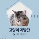 구일동물병원 네이버블로그