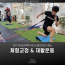 (주)이젠메디컬 | 성수동 추천 헬스장 휘트니스 리얼무브먼트 메디컬 트레이닝 센터 PT / 운동하자 운동!