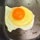 부자농장 | 등고개농장 유정란 난각번호1번 계란 후기｜아스타란 알토란유정란 자연방사 달걀 선물용 추천