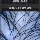 호연한의원 | [모스테틱광주] 광주두피관리 제대로 하는 곳 찾았다_ 30대중반 여성 지루성민감두피 ! 탈모고민 해결 !