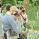 ACC 산책 이미지