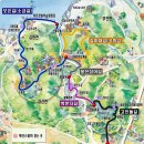 선은식농장 Daum카페