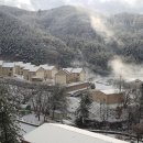 다물이네 이미지