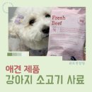 행복플러스동물병원 | 강아지 소고기 사료 어떤 게 좋을까? 본아페티 플러스 후기