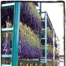 언덕농장 이미지