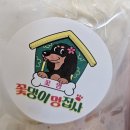 꽃댕이 멍집사 이미지