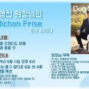 대구 애니멀옥션 이미지