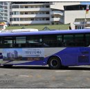 직지농업협동조합봉계지점 | 『[2026 김천] 김천버스 115번 좌석버스 (현대 뉴 슈퍼 에어로시티/KBTM)』