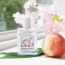 베베몽몽 이미지