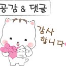 석모도미네랄스파 이미지