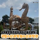 국립수산과학원 | 부산무료박물관 국립수산과학원 아쿠아리움 체험후기